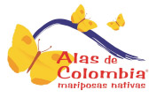 Alas de Colombia