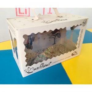 caja_magica_mariposas_maripupa_crisalida