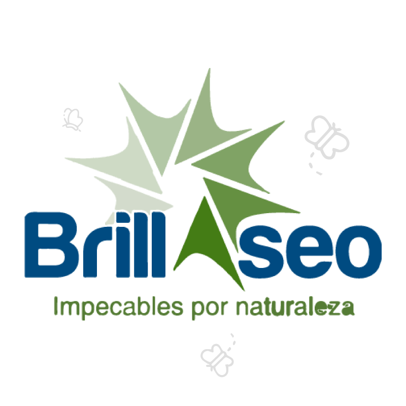 brillaseo.webp