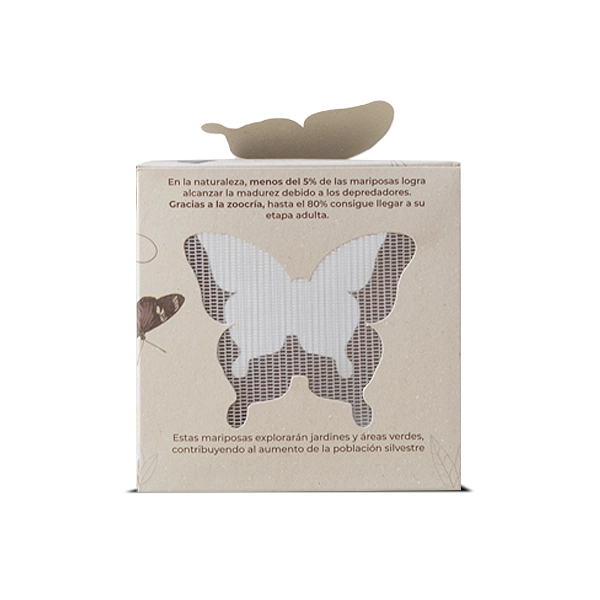 Cubo de mariposas