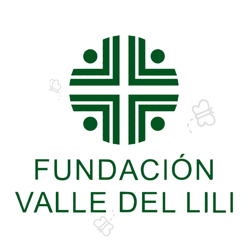 fundacion-valle-de-lili.webp