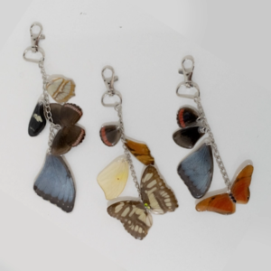 Llaveros de Mariposas