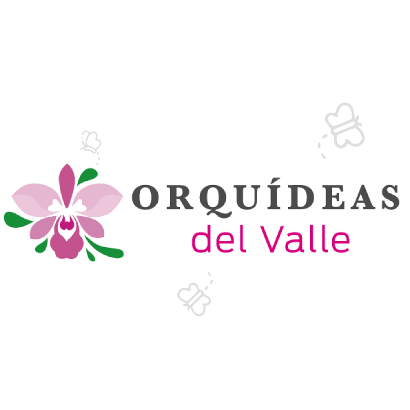 orquideas.webp