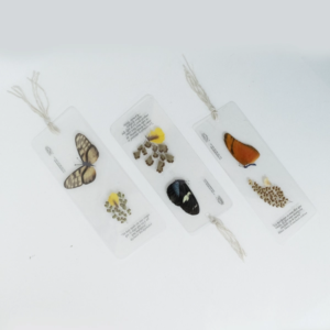 Separadores de libros